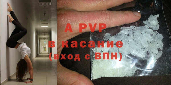 ПСИЛОЦИБИНОВЫЕ ГРИБЫ Баксан