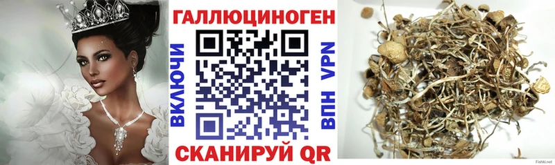 Псилоцибиновые грибы Psilocybine cubensis  наркота  OMG вход  Ливны 